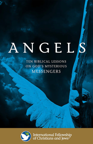 Angels: God's Mysterious Messengers Booklet - Box 100
