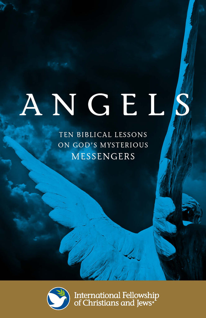 Angels: God's Mysterious Messengers Booklet - Box 25