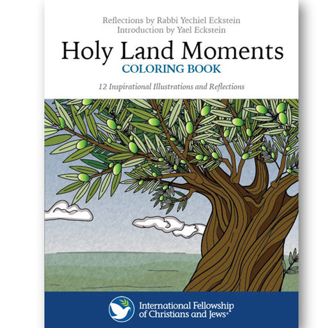 Holy Land Moments Coloring Book